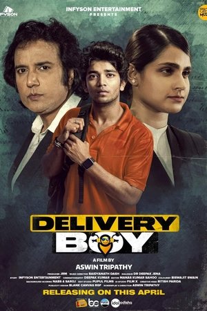 Delivery Boy 2 (2025) Hindi (MULTI AUDIO) – – 1080p