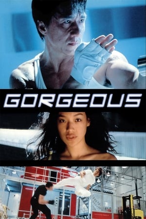 Gorgeous 1999 100mb Hindi Dual Audio movie Download