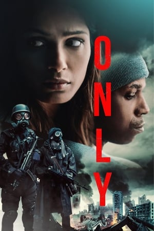 Only 2019 Hindi Dual Audio [900MB]