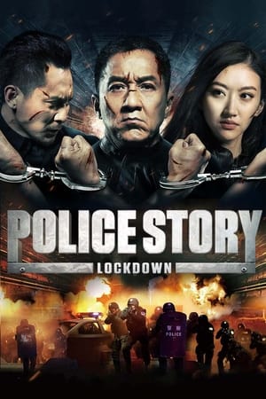 Police Story: Lockdown (2013) Hindi Dual Audio 380MB