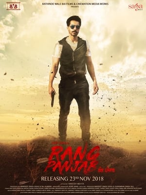 Rang Panjab (2018) Punjabi Movie – [350MB]