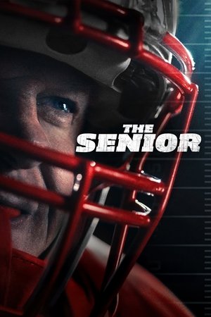 The Senior (2025) Hindi (MULTI AUDIO) – – 1080p